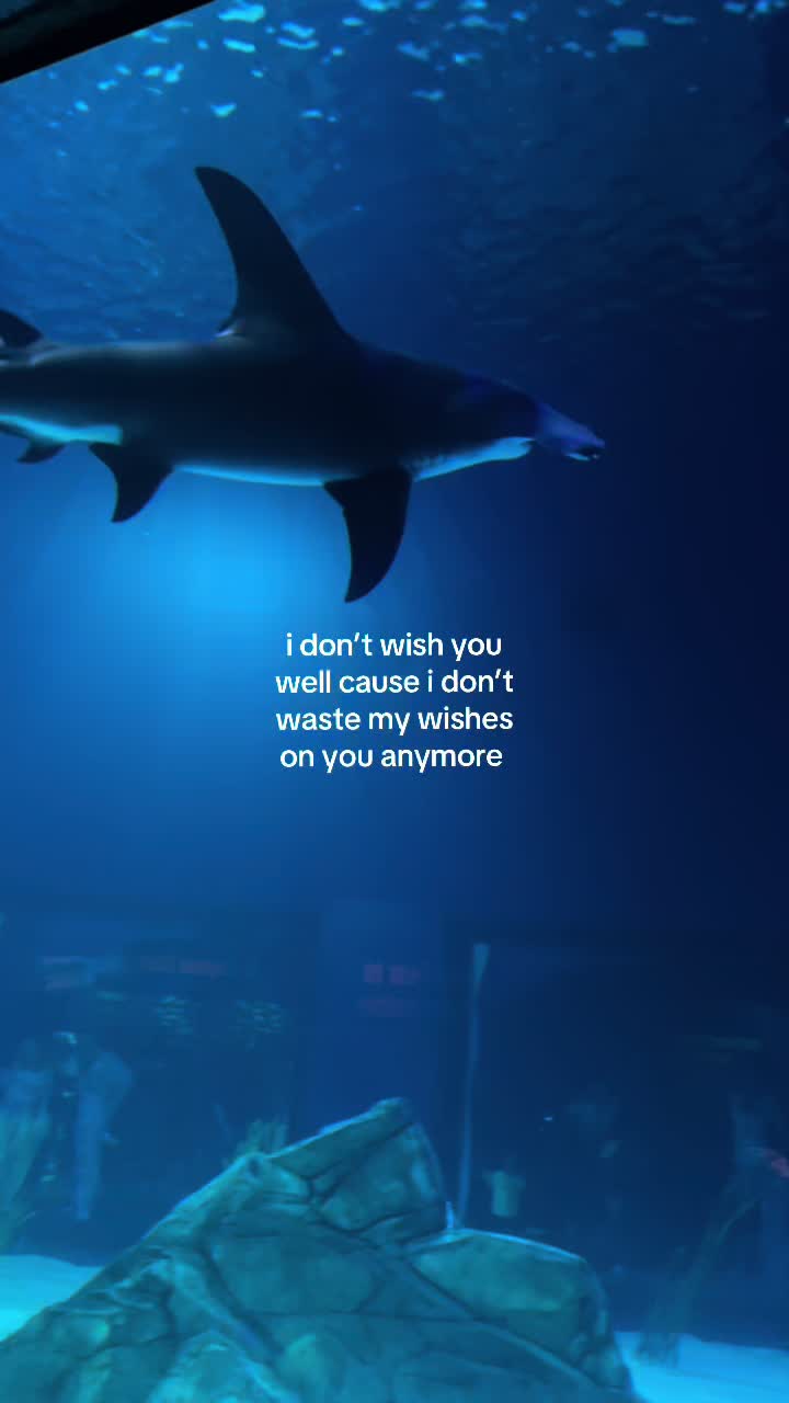 @Guadalupe