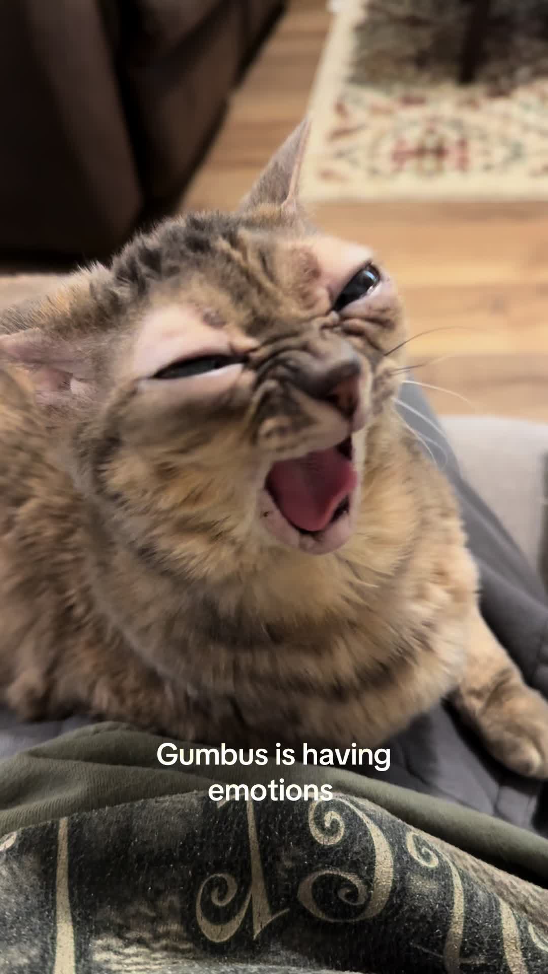 @Gumbus