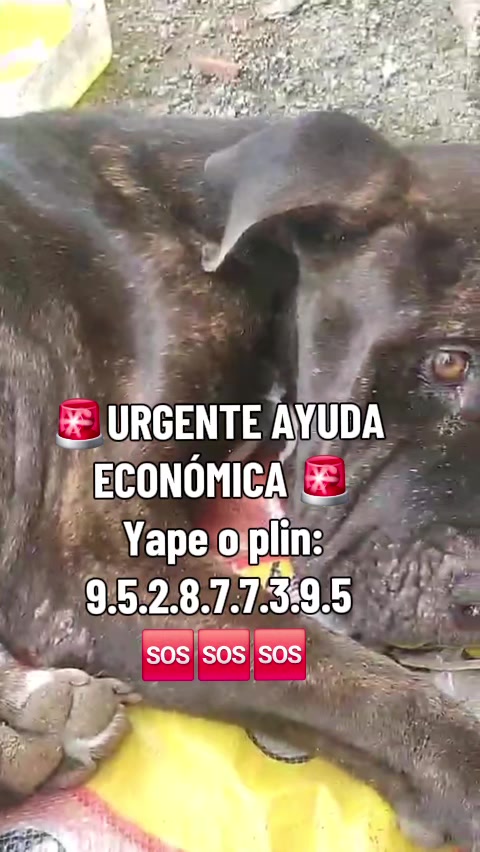 @Huellitasdeamorjaen