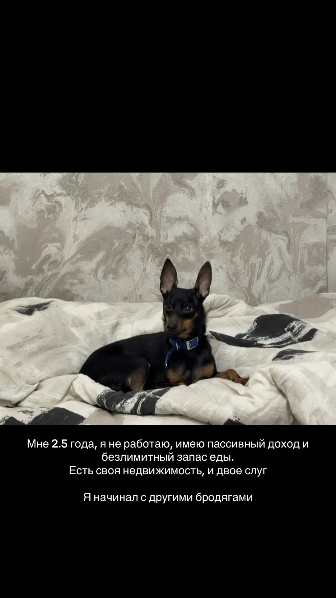 @Яна