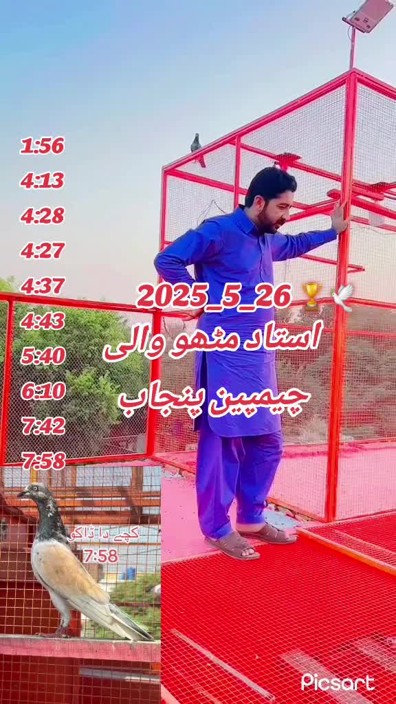 @🕊️ ملک دانیال 4❤️