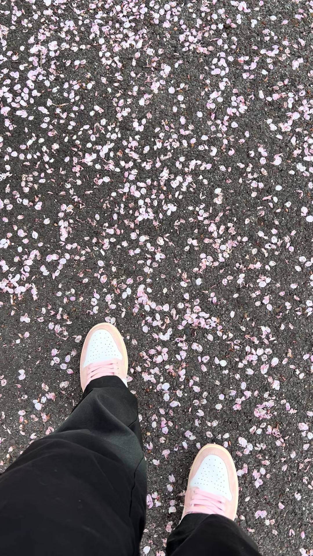 @たんちゃんだおっ