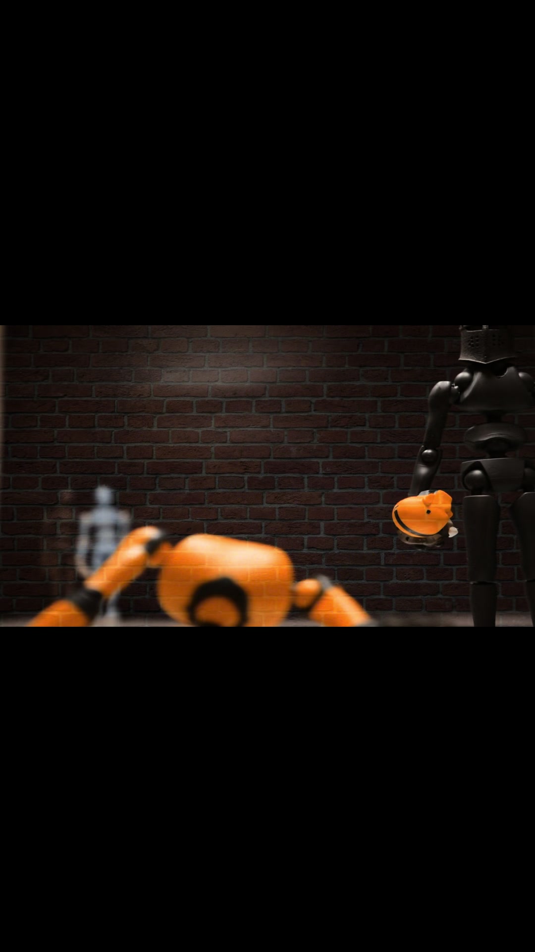 @fiascostopmotion