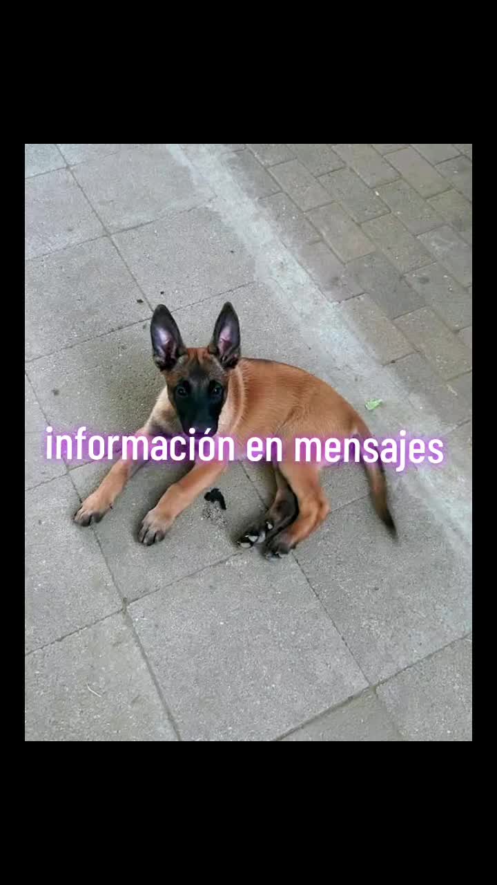 @Tino Del Castillo