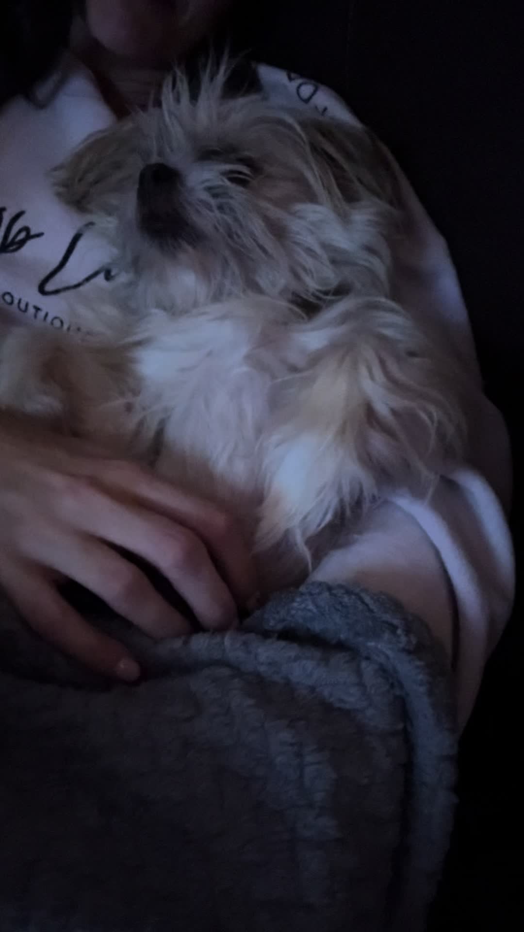 @Ncringdogs
