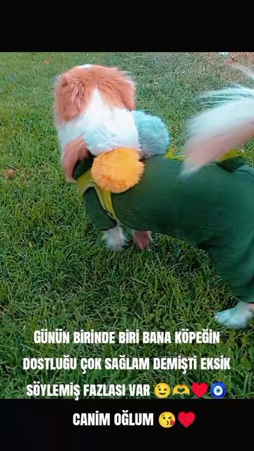 @【I】̇【b】【o】 【C】【a】【n】 【2】【7】