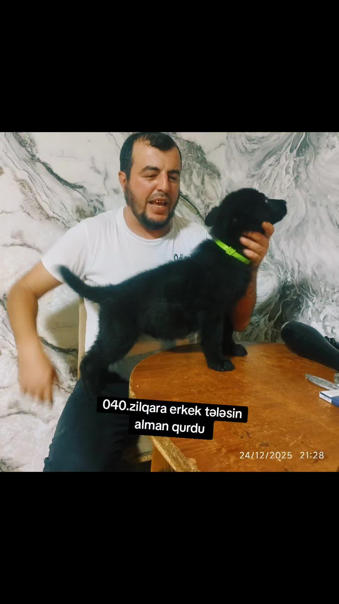 @ODLAR YURDU KİNOLOJİ MƏRKƏZİ