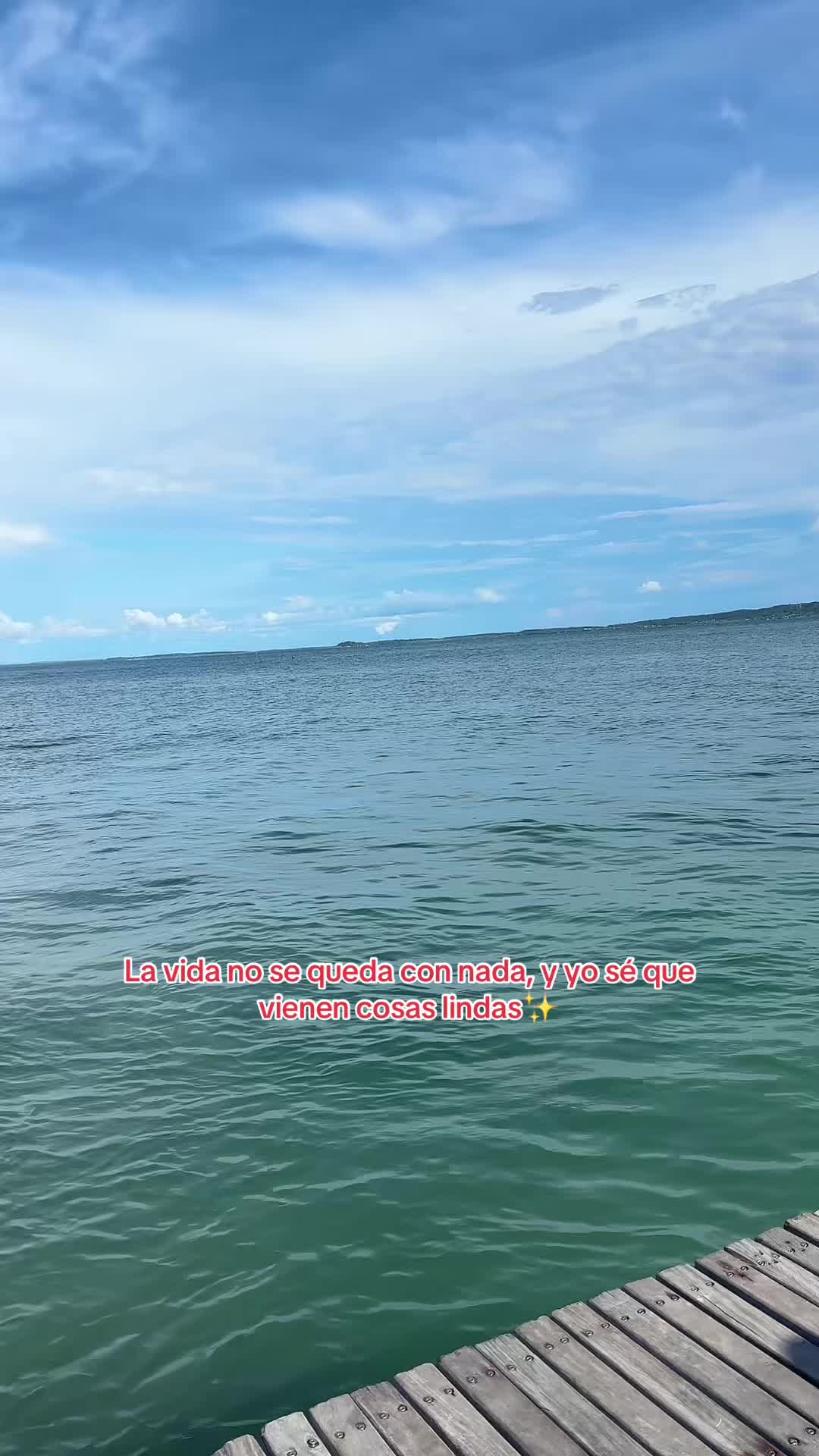 @olguis058🤍✨