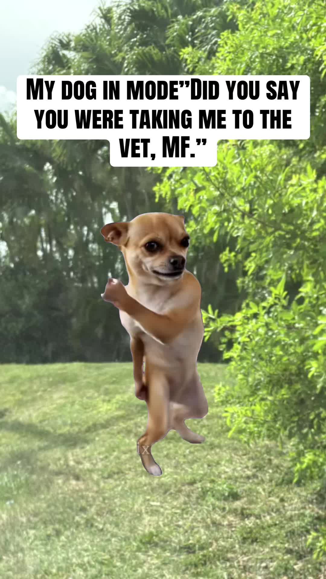 @Canis_200
