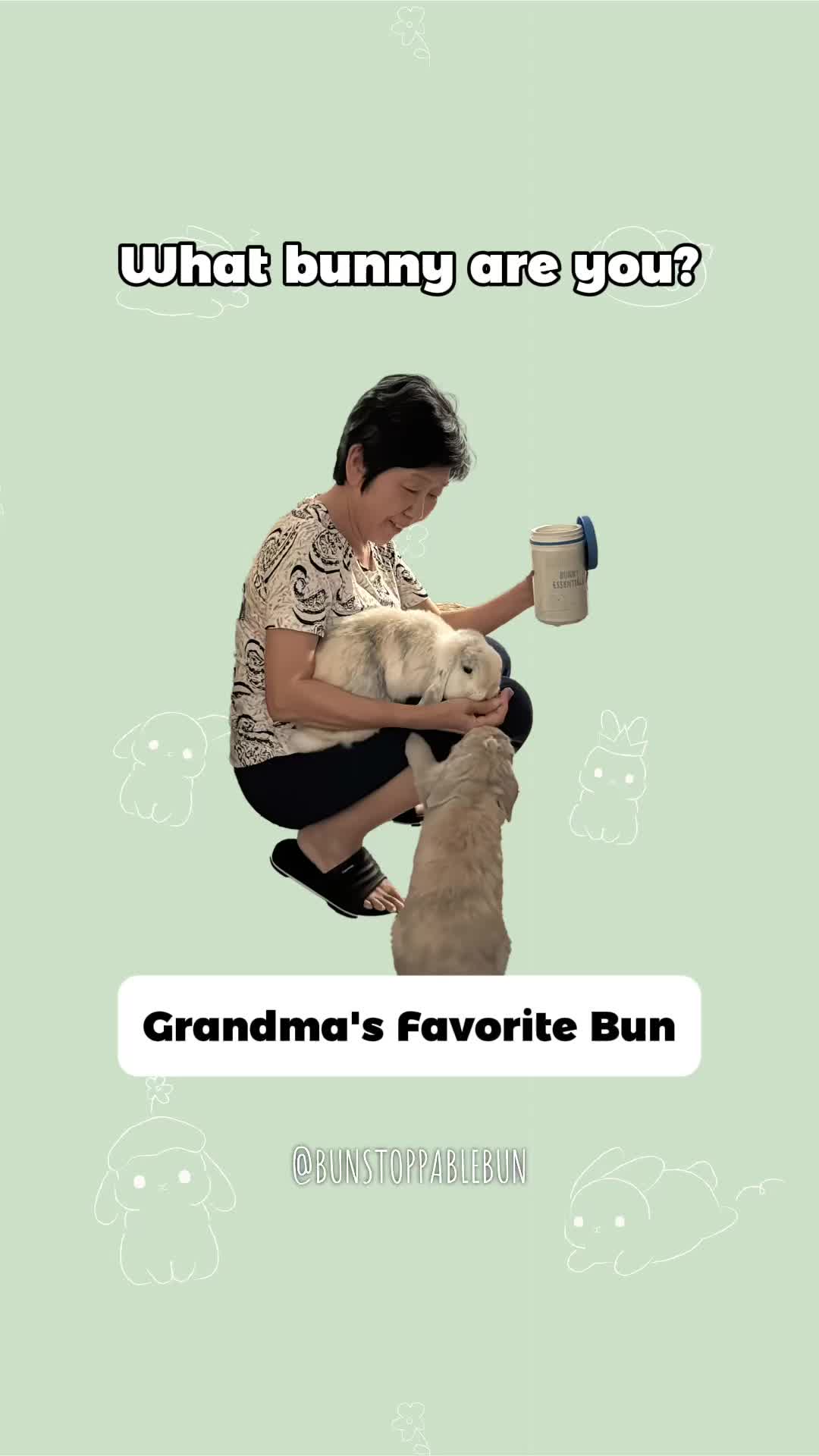 @BunBun, Mochi🌈, Chewy