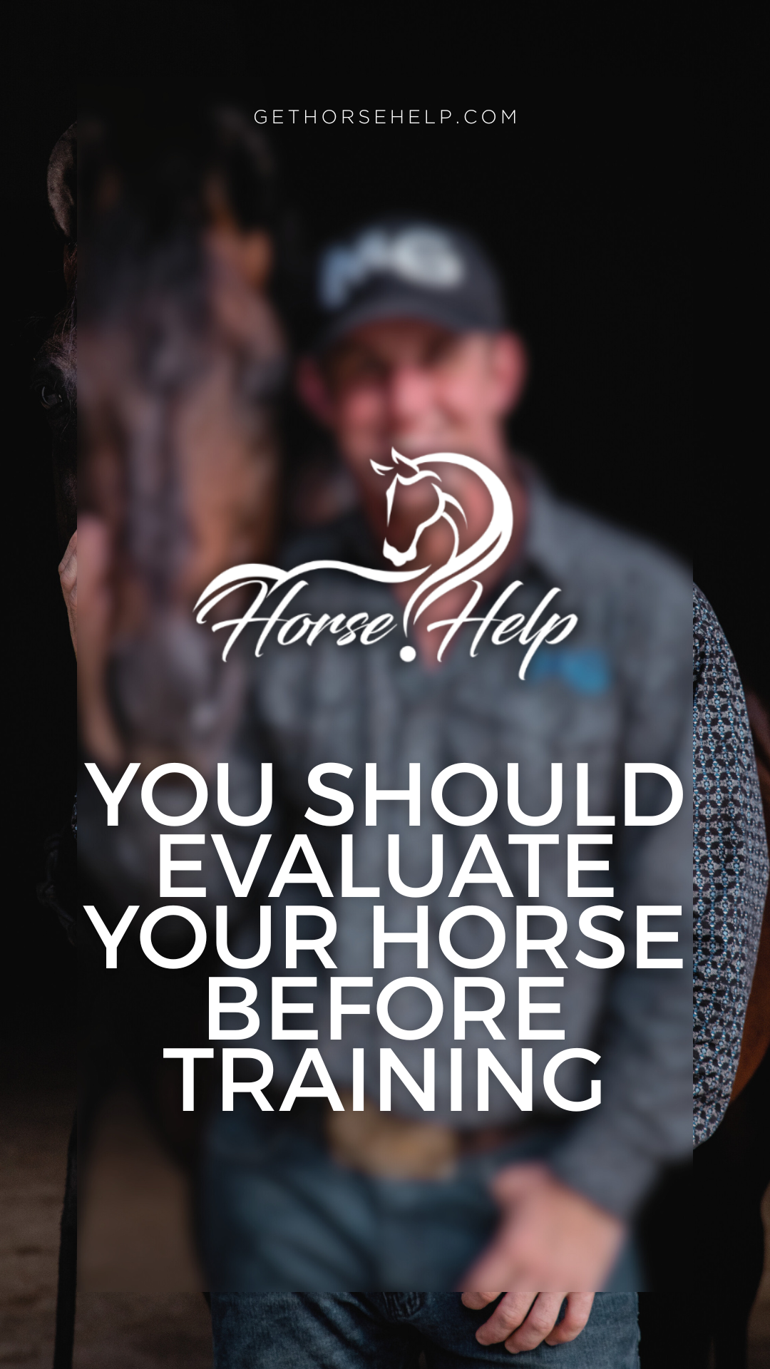 @Horse Help