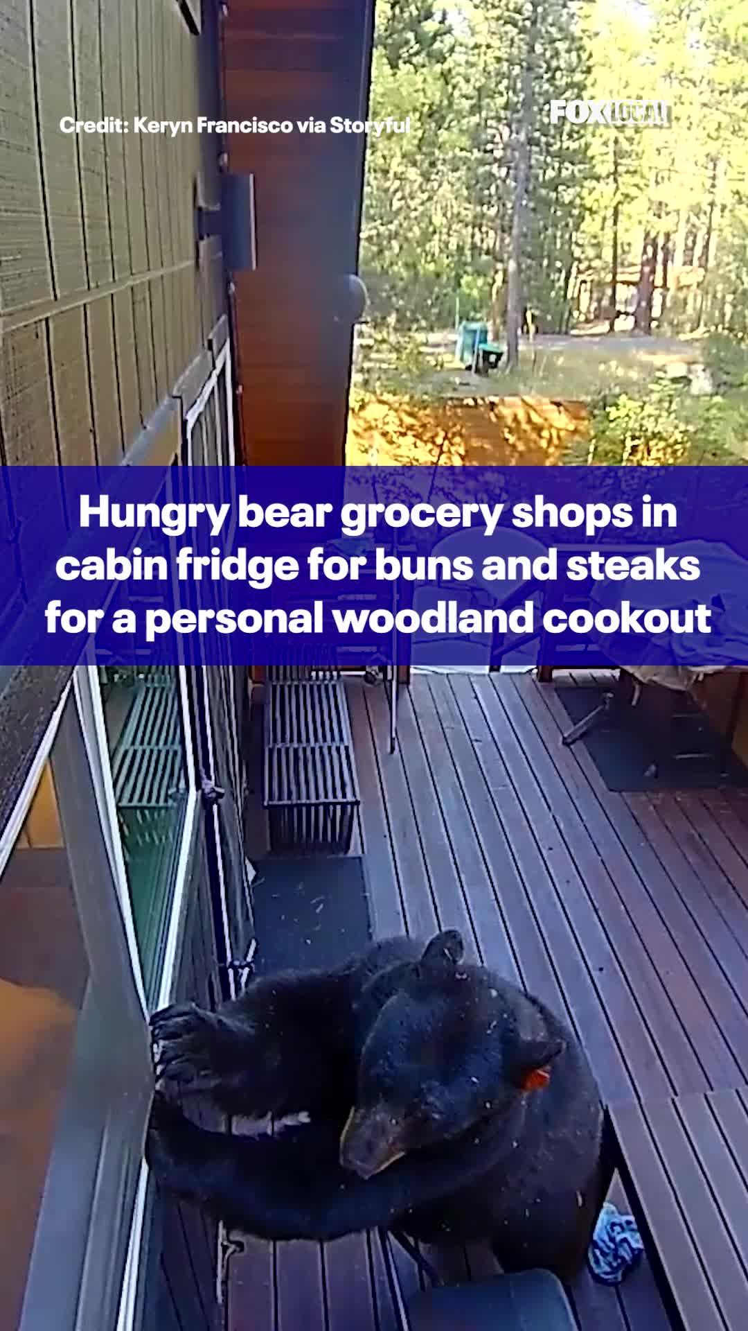 @FOX 13 Seattle