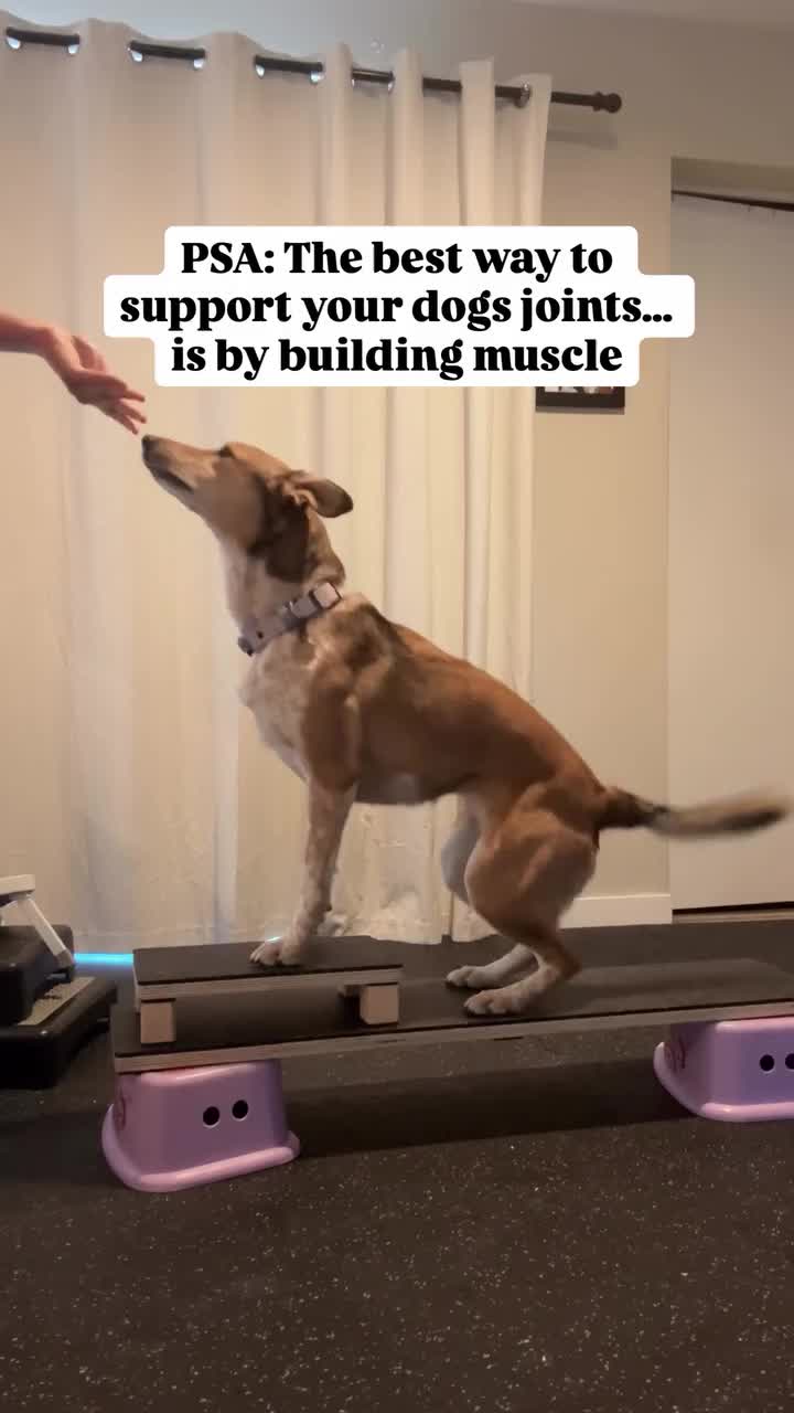 @Marissa | Kota & Aspen