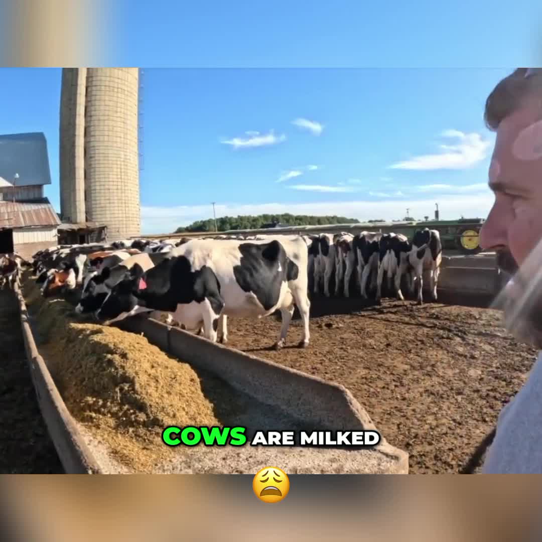 @Kip Siegler Farming