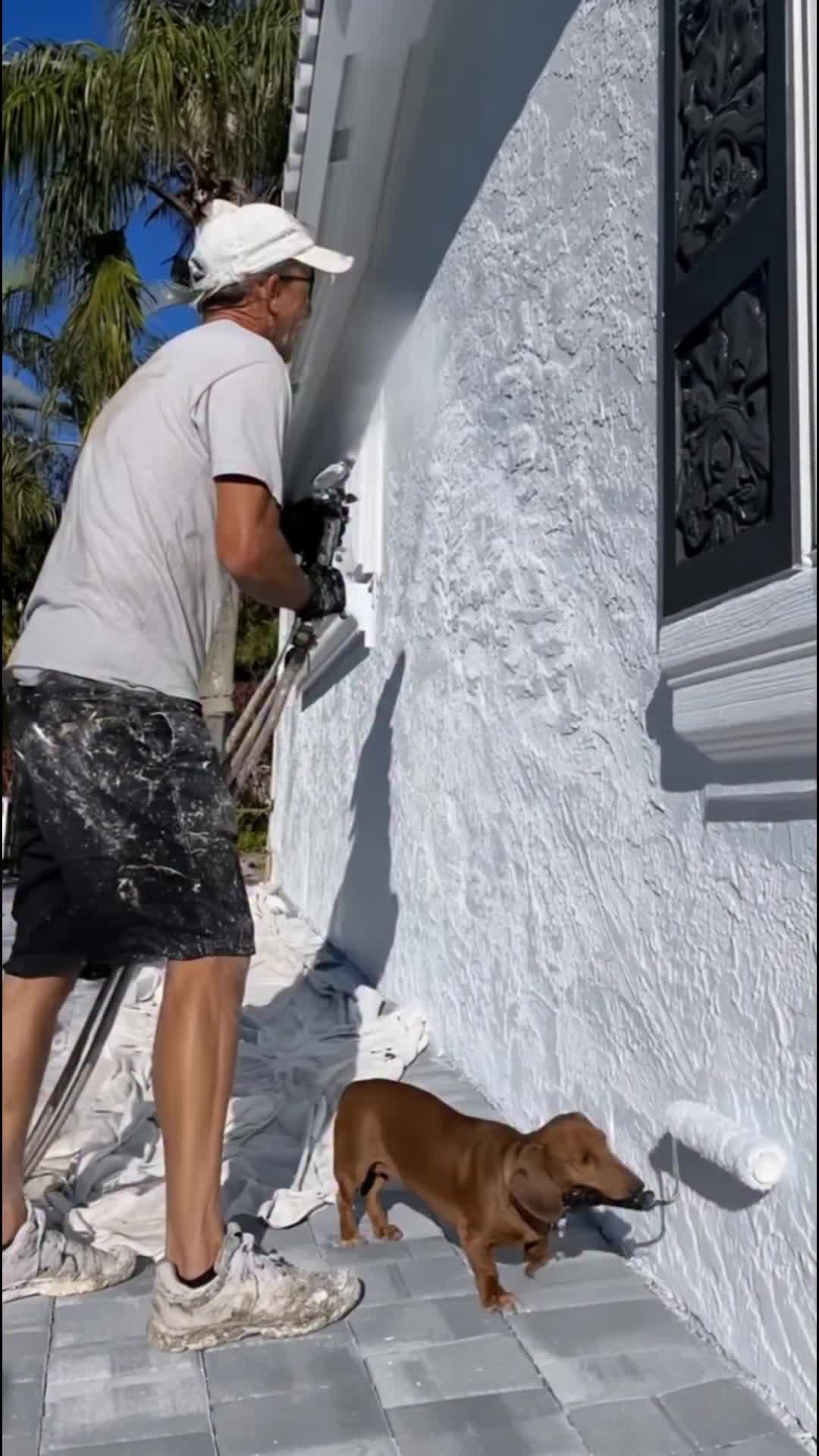 @middlepets