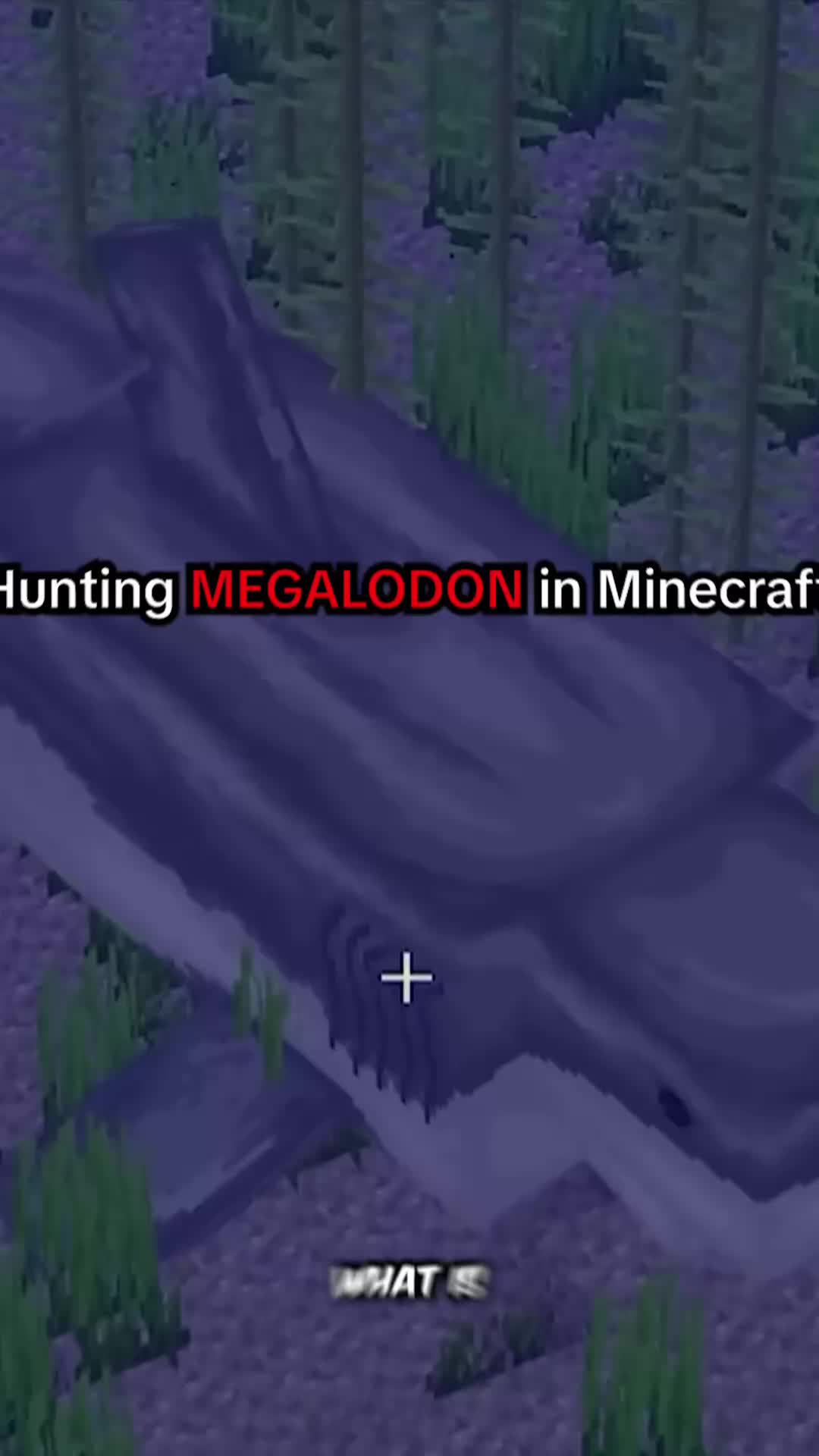 @aCookieGod