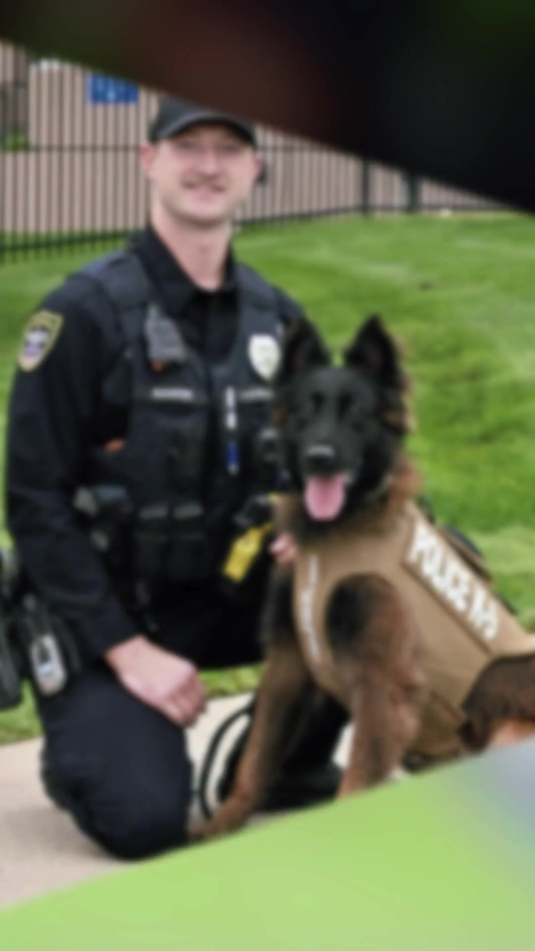 @Vested Interest in K9s, Inc.