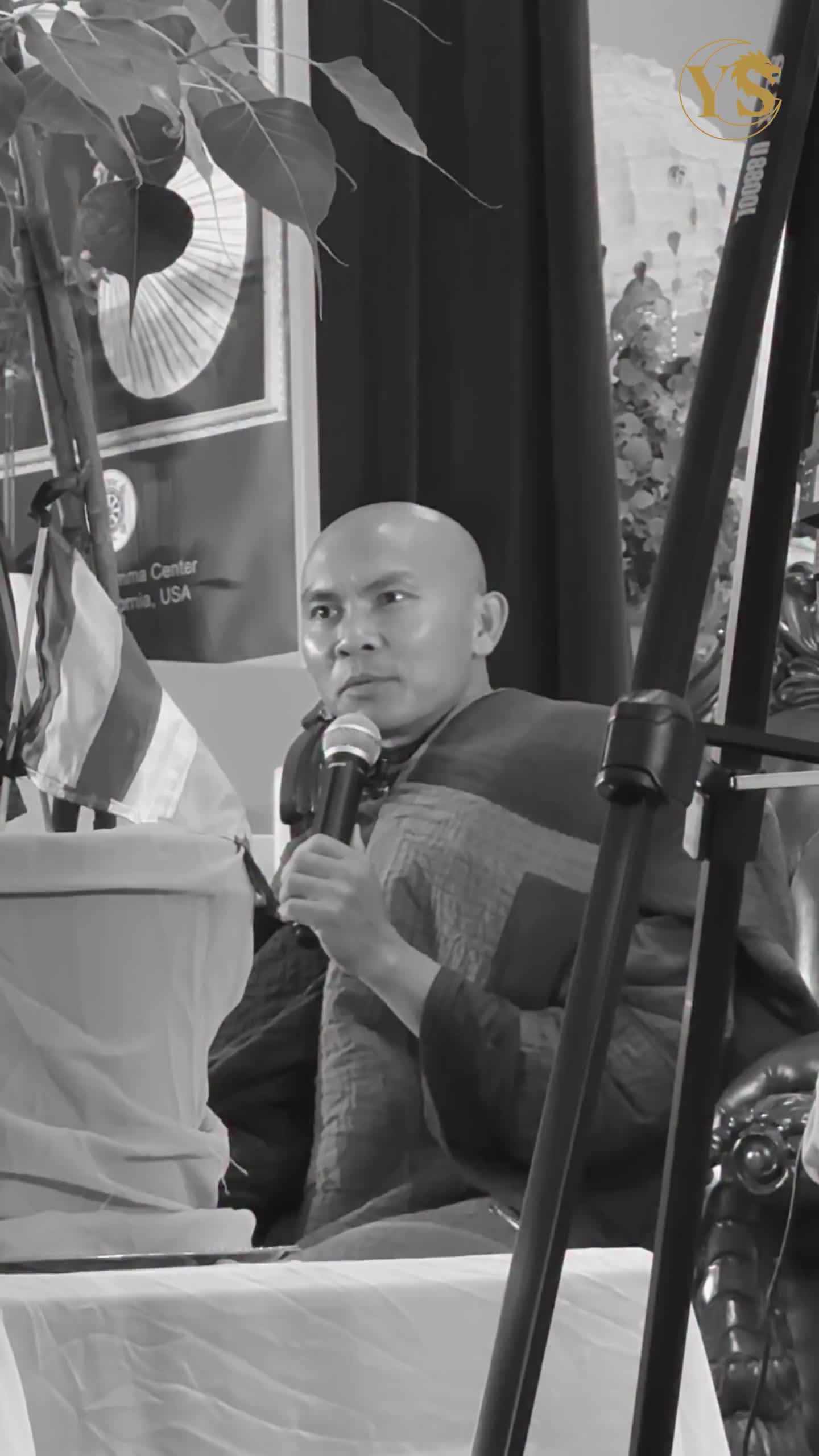 @Yamone Scarlett