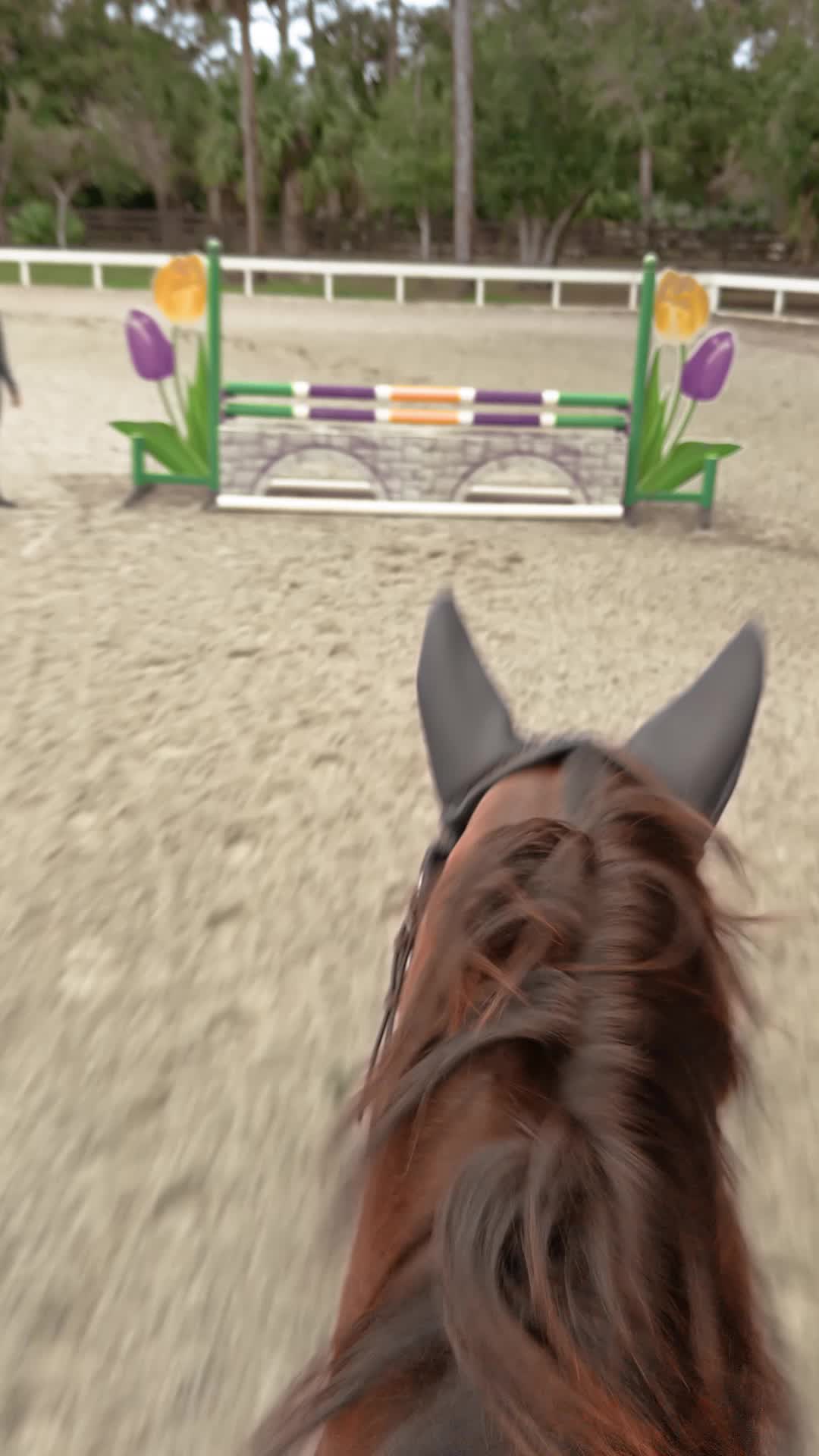 @rideihsa