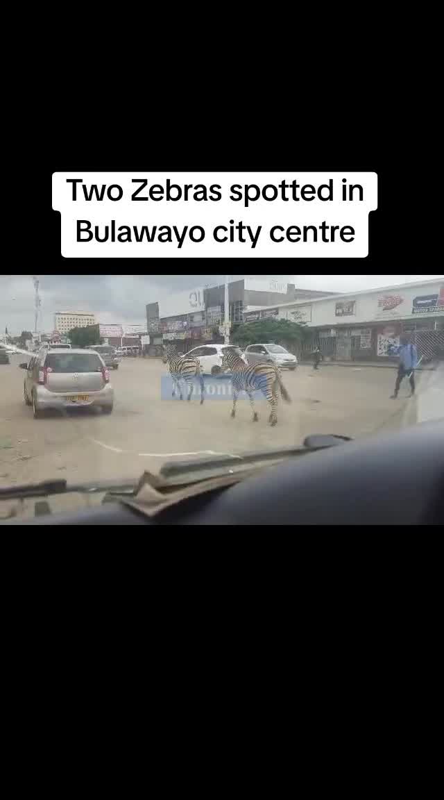 @Chronicle Zimbabwe