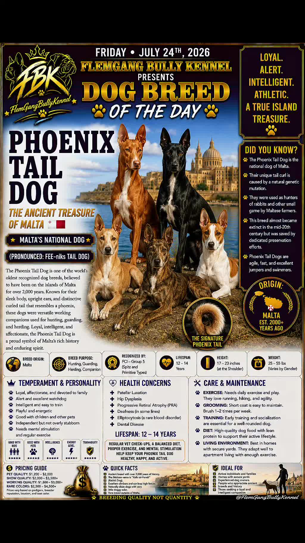 @Flemgang Bully Kennel๐๐พ๐โจ