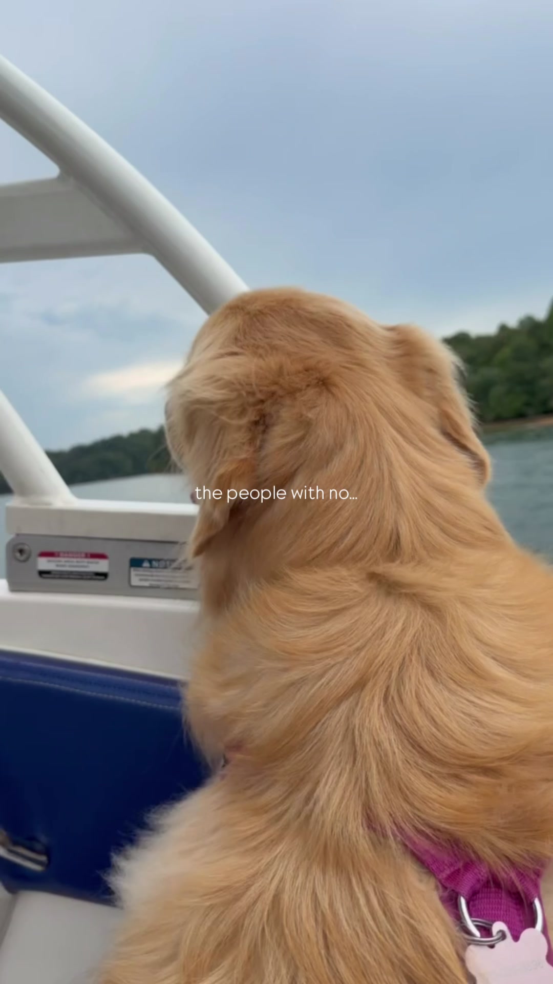 @DogMomisms