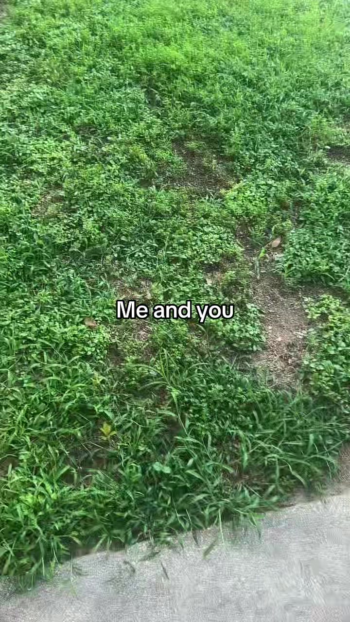 @🌴👑TikTok kynnngvibetv👑🌴