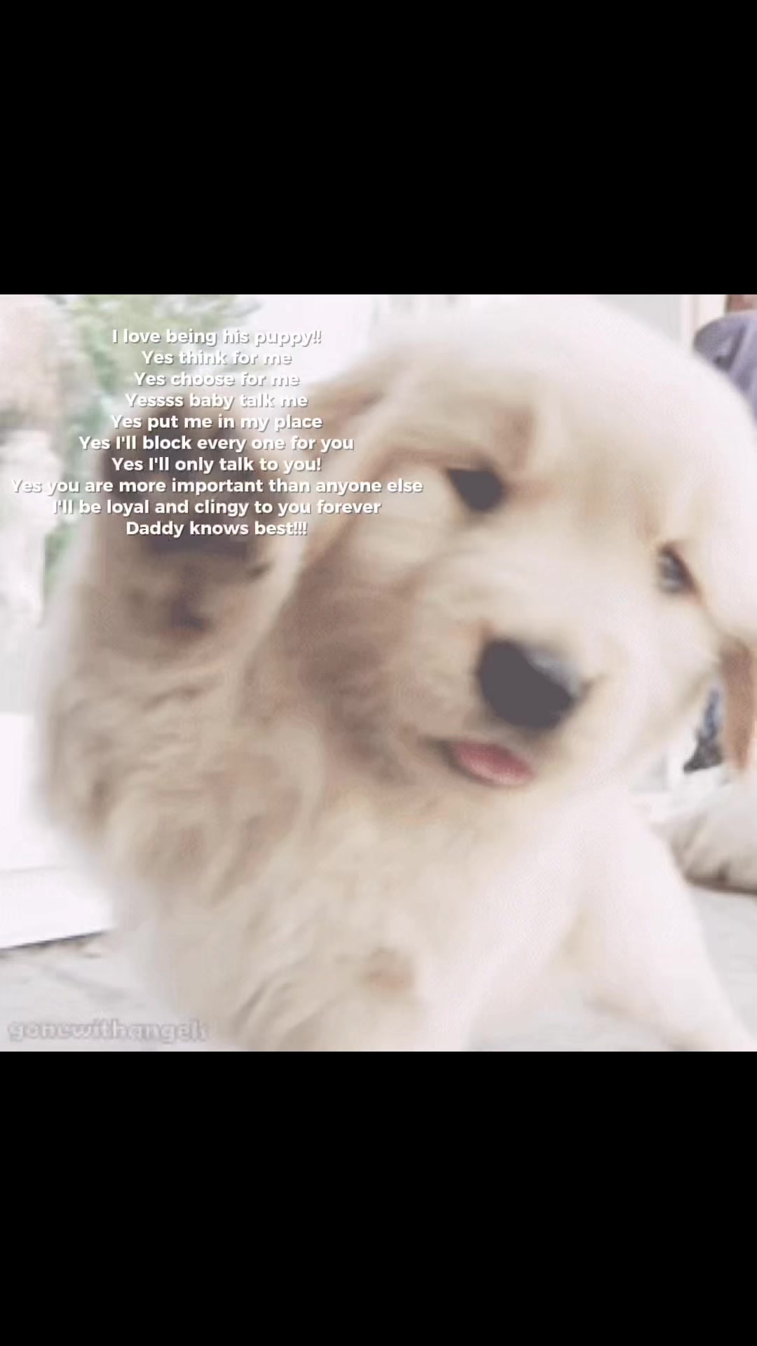 @⋆.𐙚 ̊ ꒰ 𝒫𝓊𝓅𝓅𝓎 ℊ𝒾𝓇𝓁 ꒱
