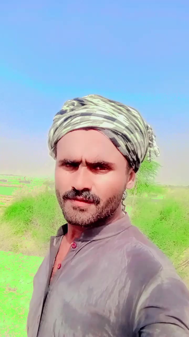 @mujeedrehman243