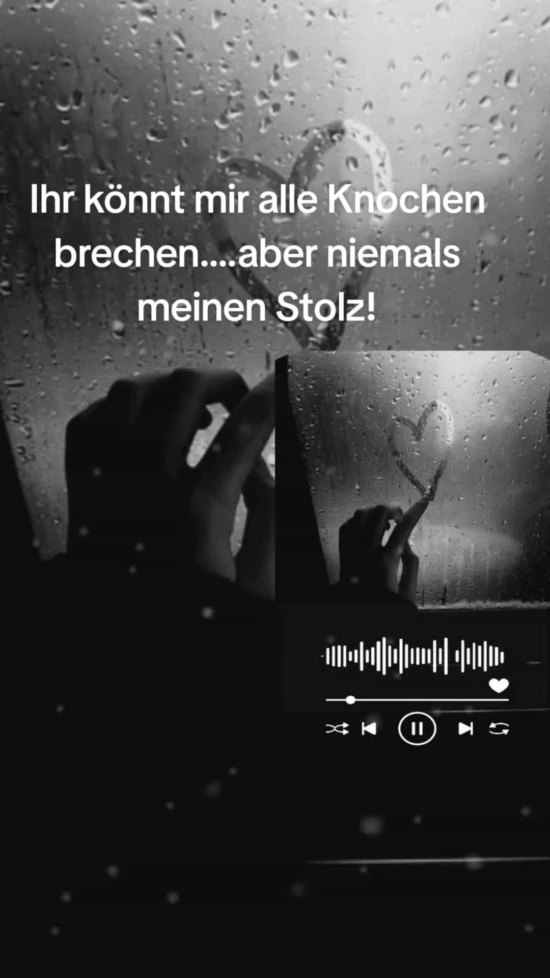 @schwabenland71