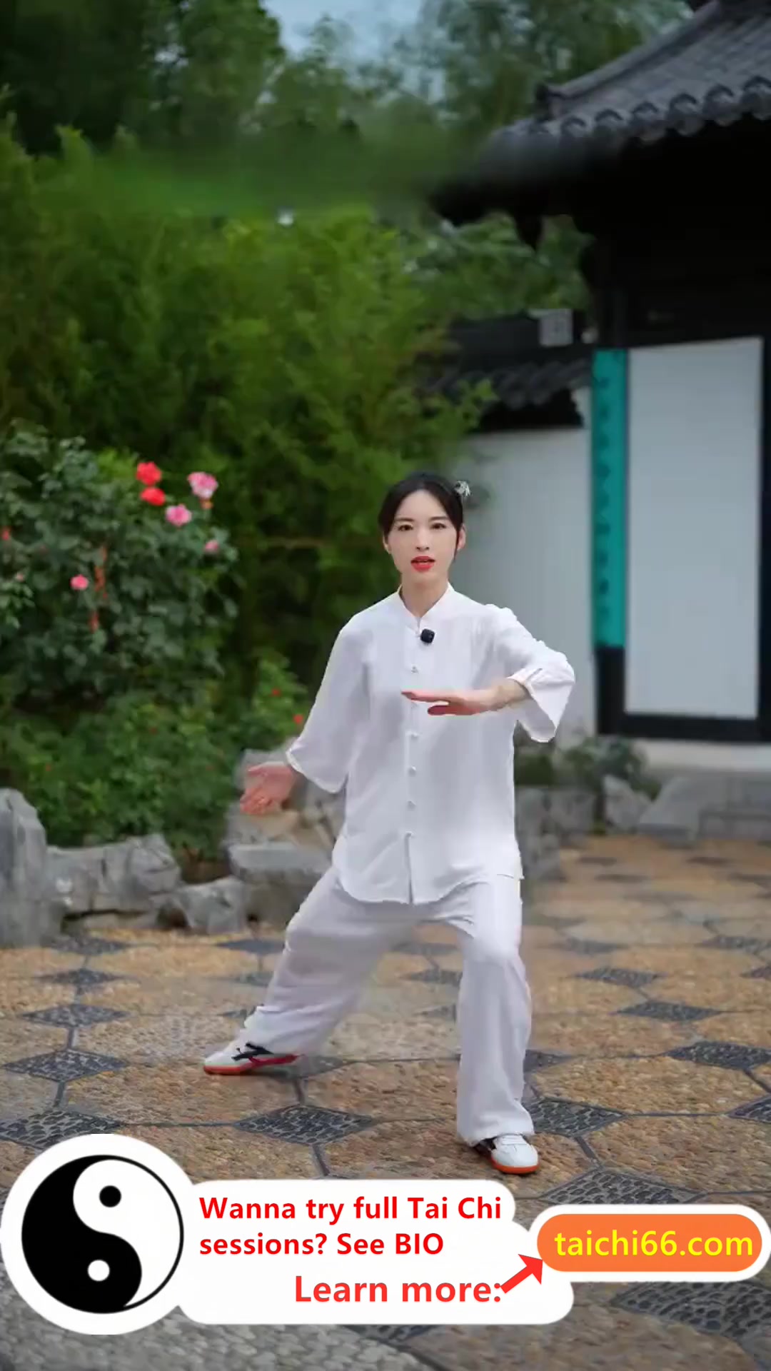 @HuaKai Taichi