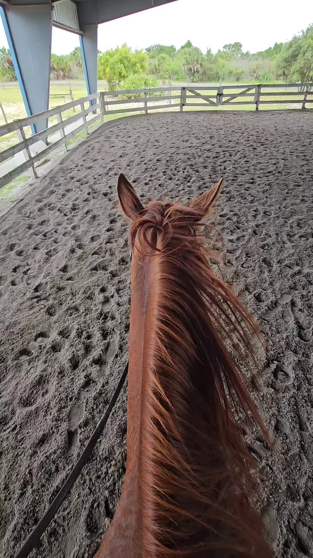 @Rachelrides