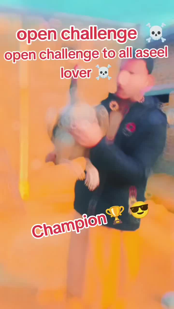 @بلال اعوان