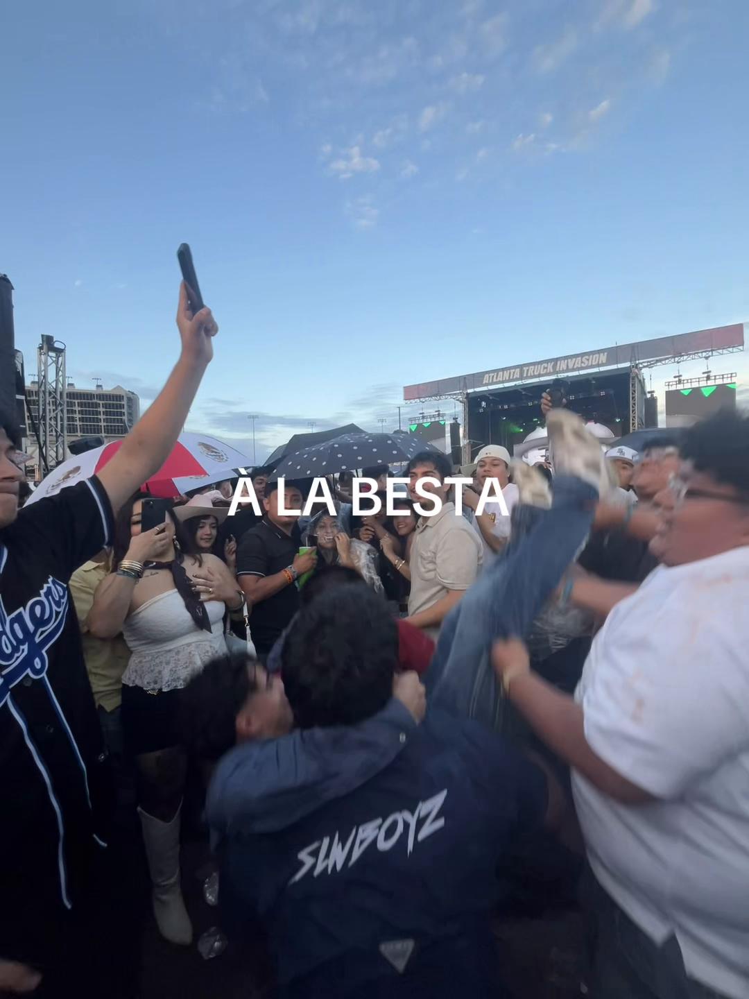 @mia