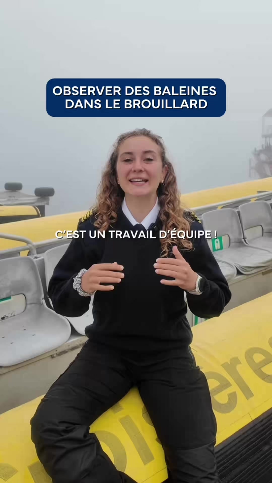 @Croisières AML