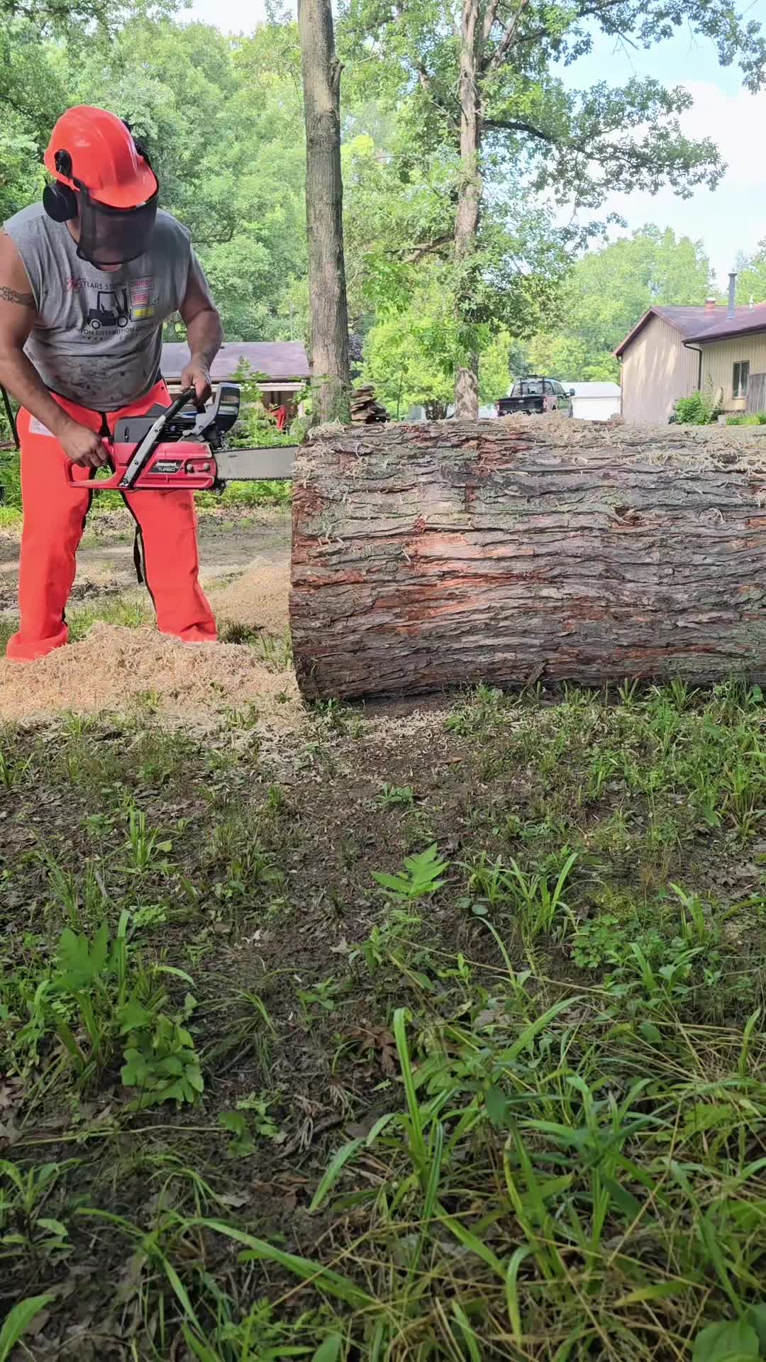 @Sawmill Mario