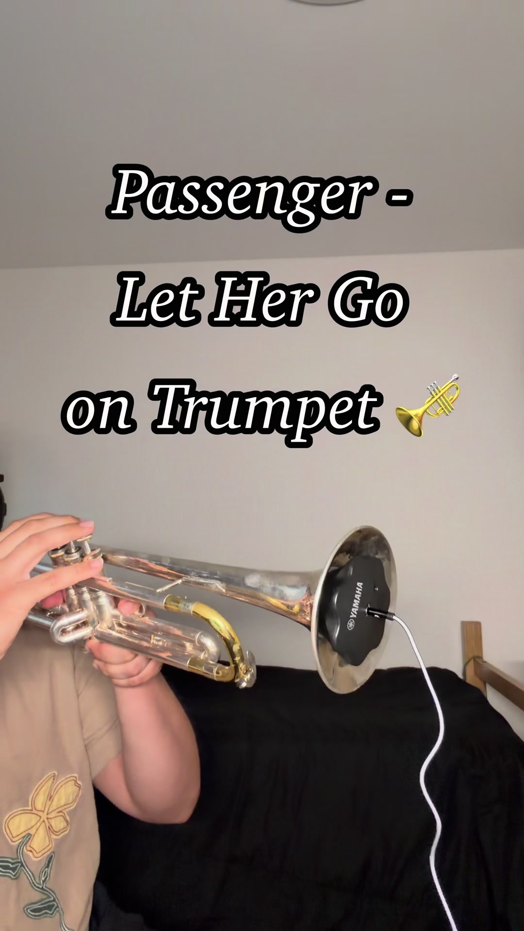 @mexicantrumpetboy