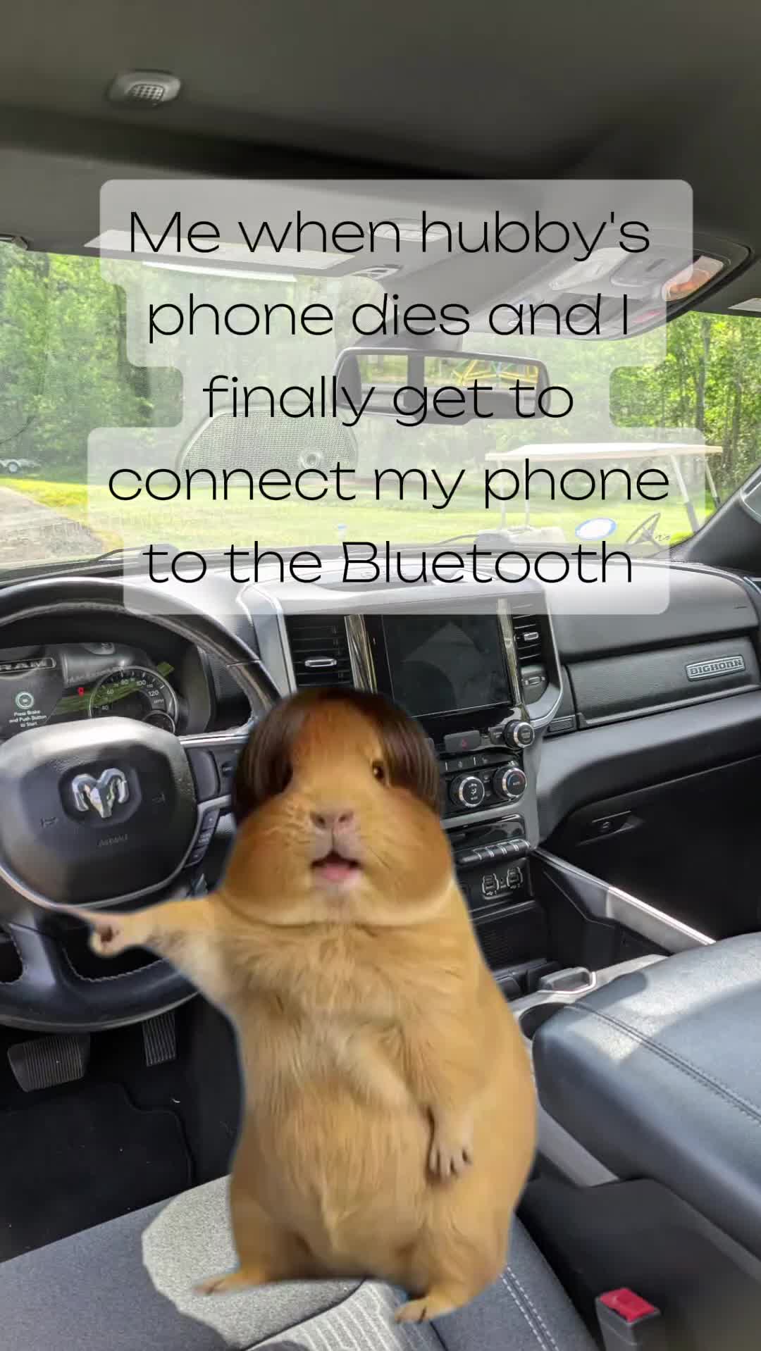 @AHawk🪶