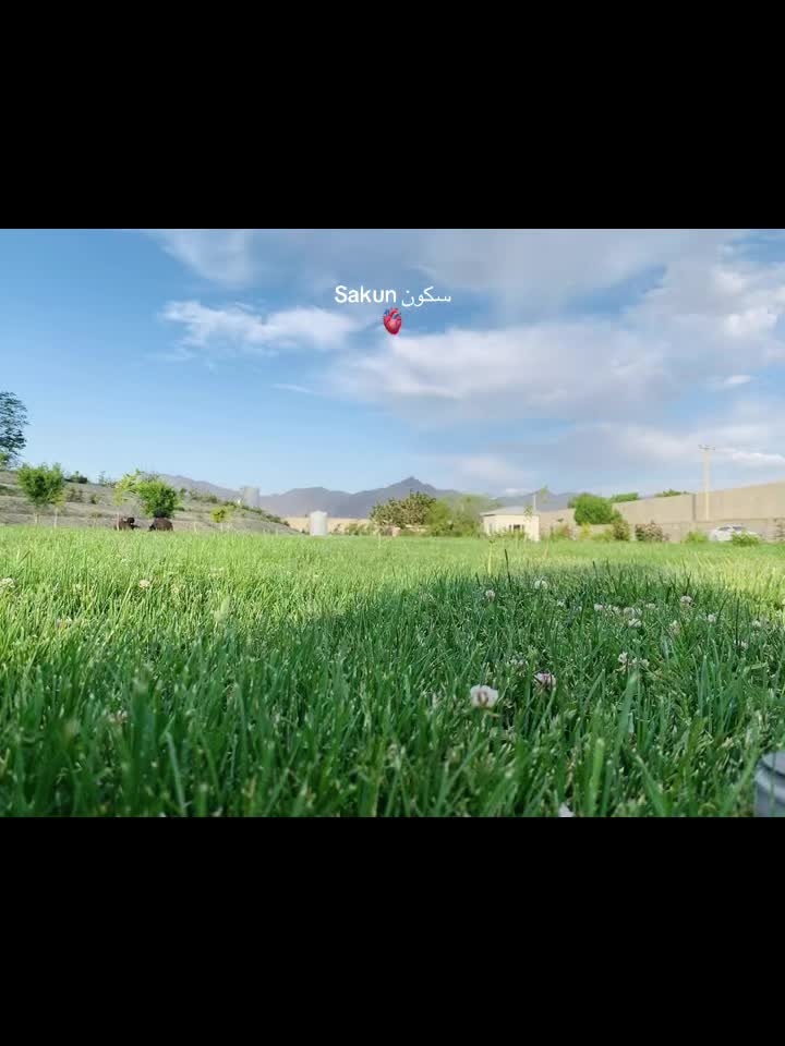 @Sakun سکون