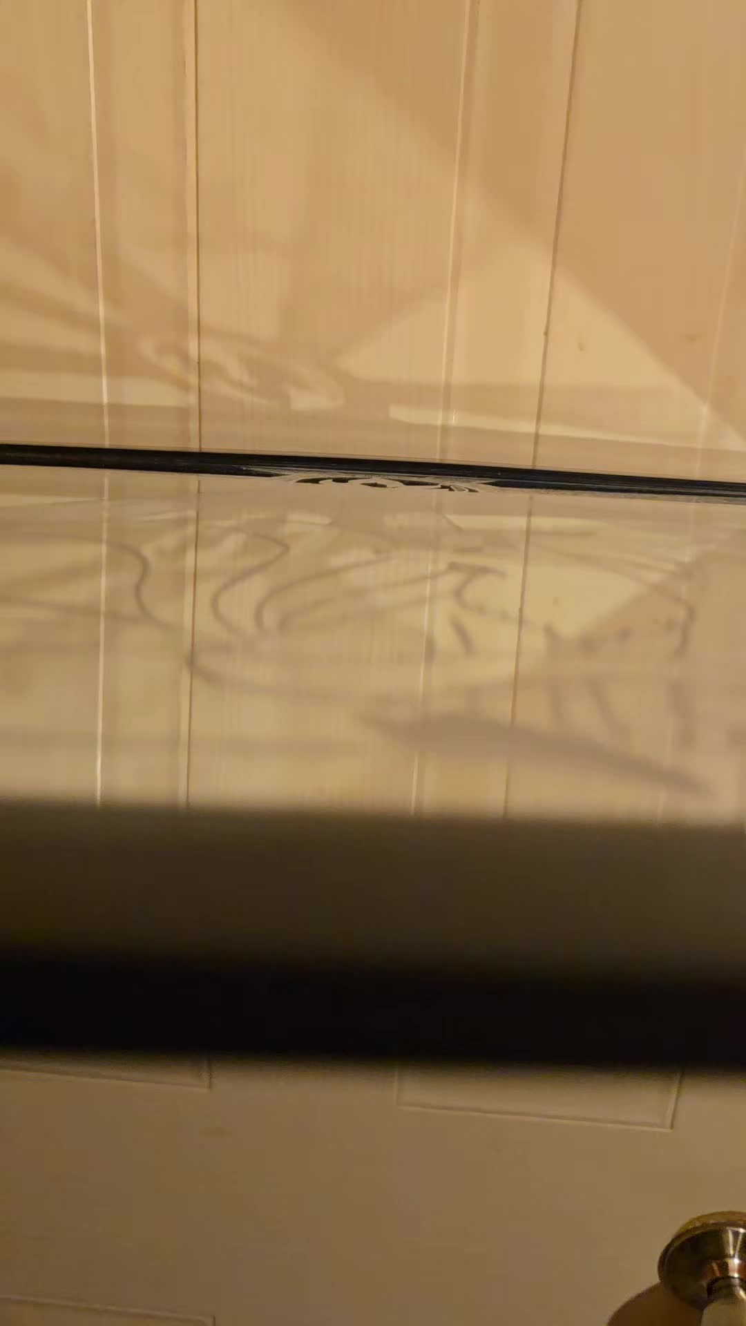 @Piggyelephant35