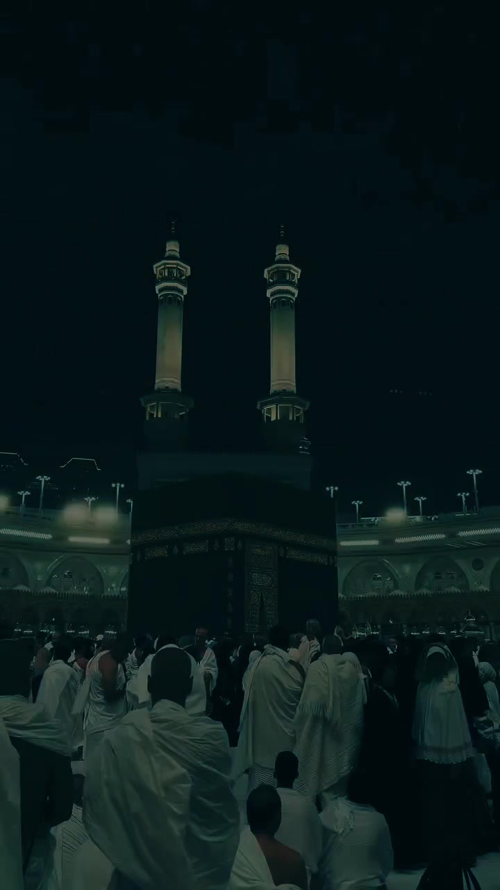 @♥️🕊️