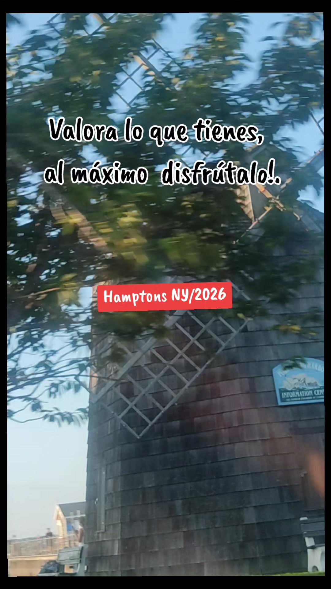 @MeryCampoverde(Neuropsicólogo)