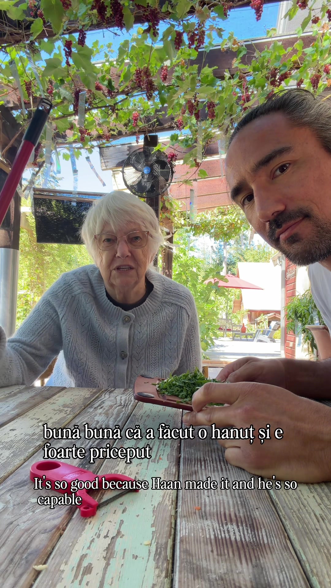 @haanpc