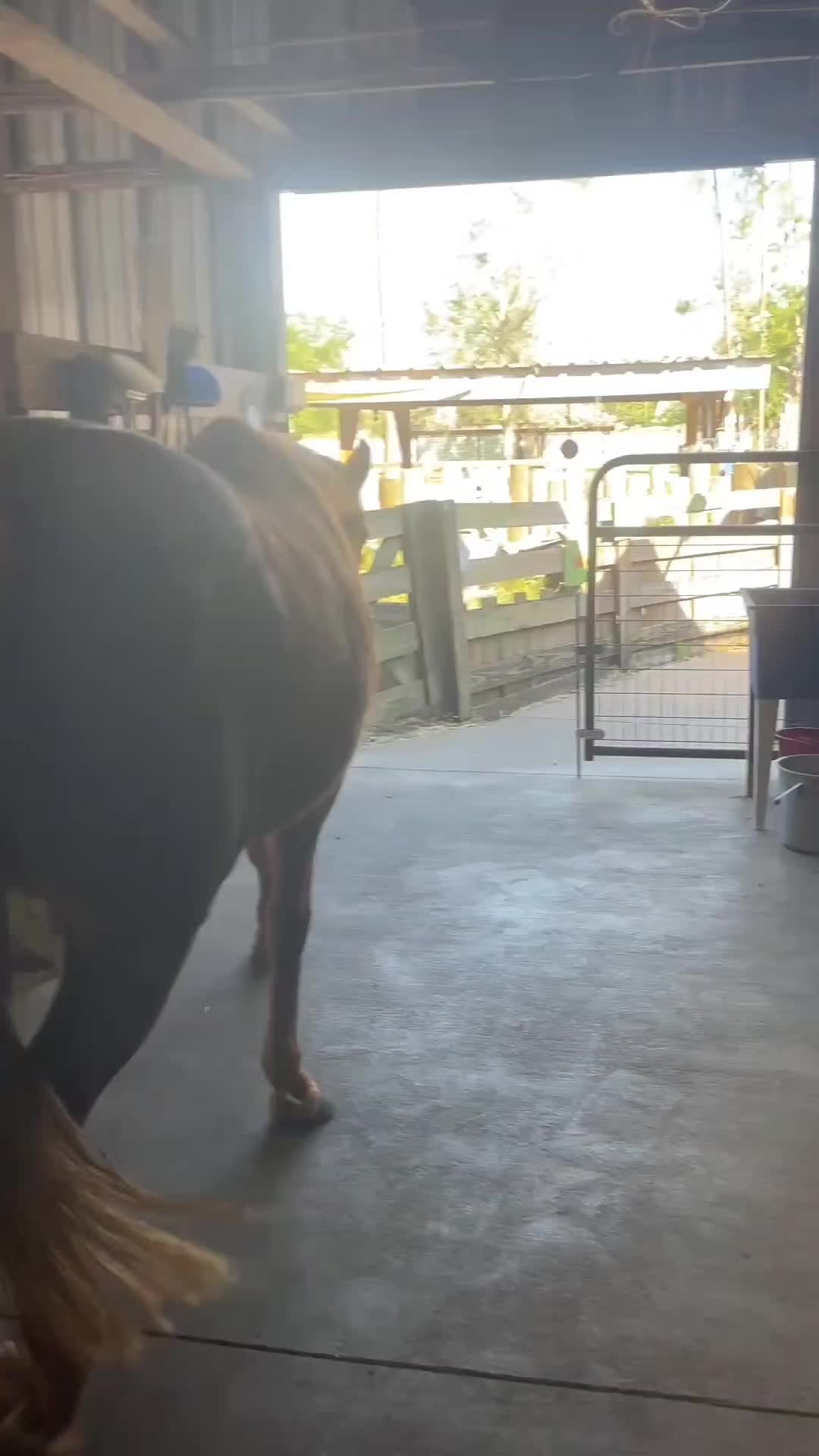 @Farmhouse Sanctuary