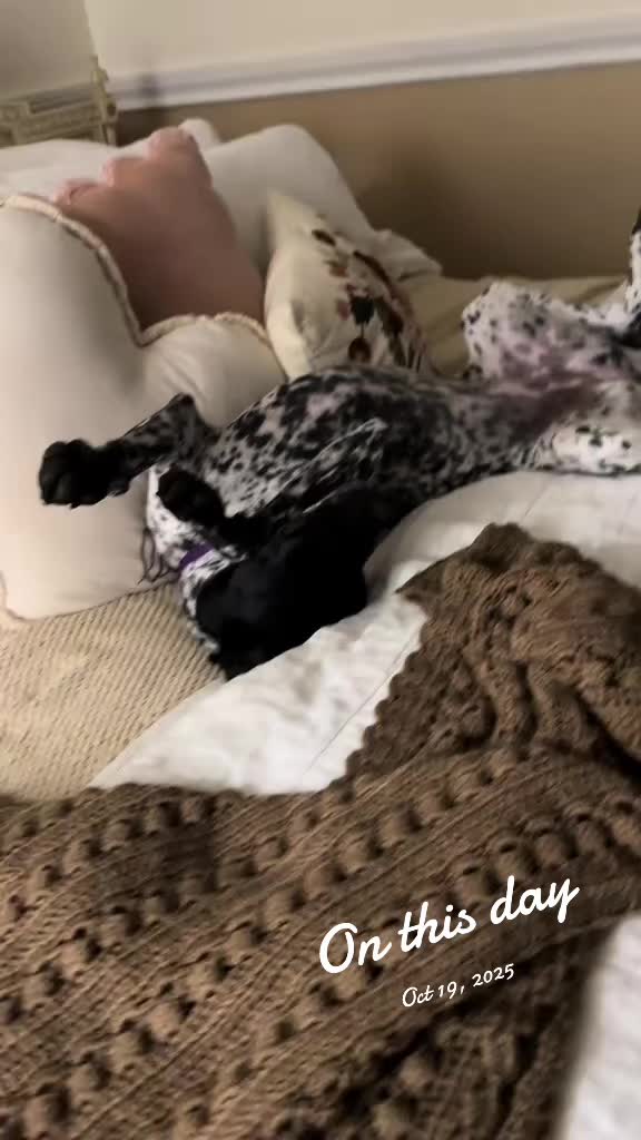 @hellovbirdie