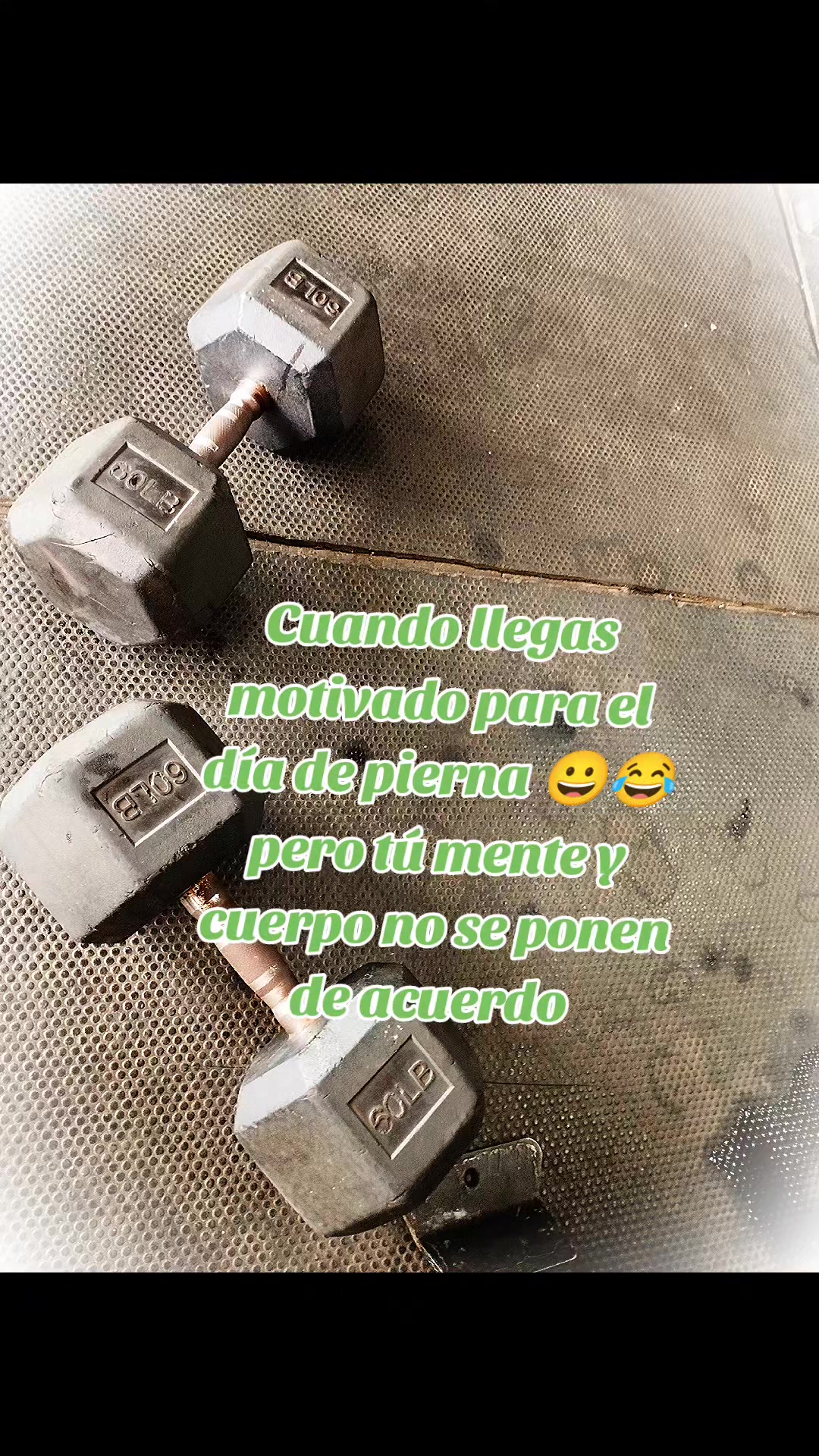 @miguelache@766