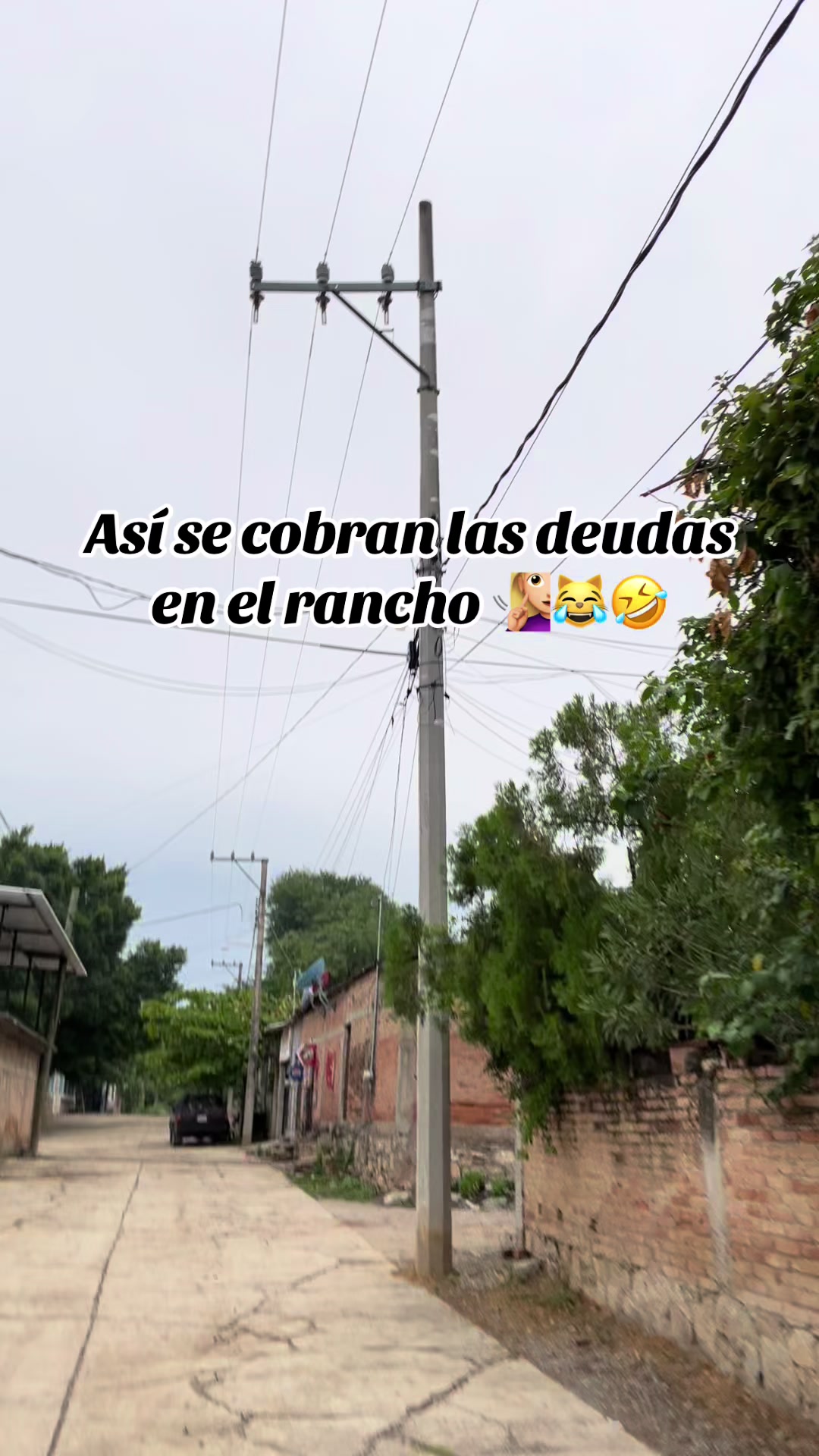 @🩵Monse🐺🩵