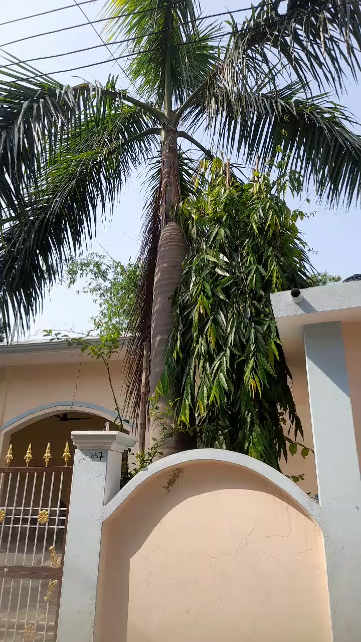 @user7998216000994