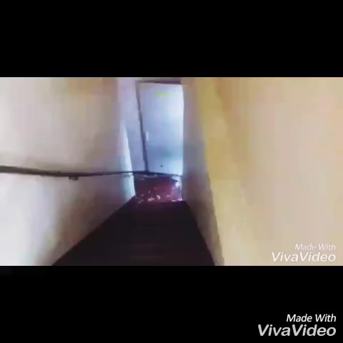 @Дошик