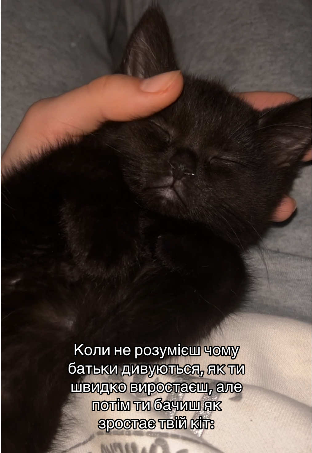 @Vasilina